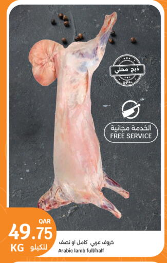 available at سيتي هايبرماركت in قطر - الضعاين