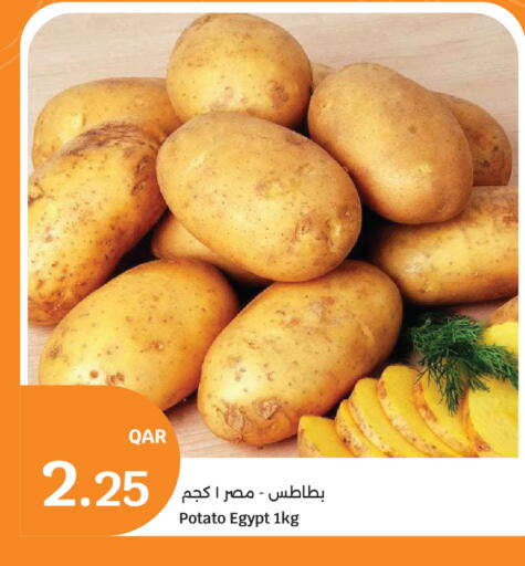 Potato from Egypt available at City Hypermarket in Qatar - Umm Salal