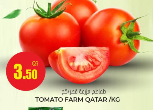 Tomato from Qatar available at جراند هايبرماركت in قطر - الدوحة