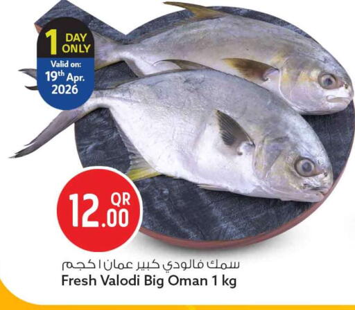 available at سفاري هايبر ماركت in قطر - أم صلال