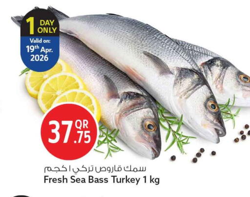 available at سفاري هايبر ماركت in قطر - أم صلال