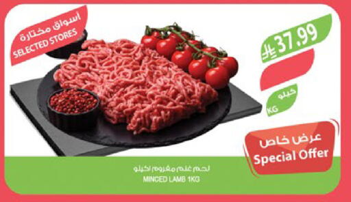 available at Farm  in KSA, Saudi Arabia, Saudi - Yanbu