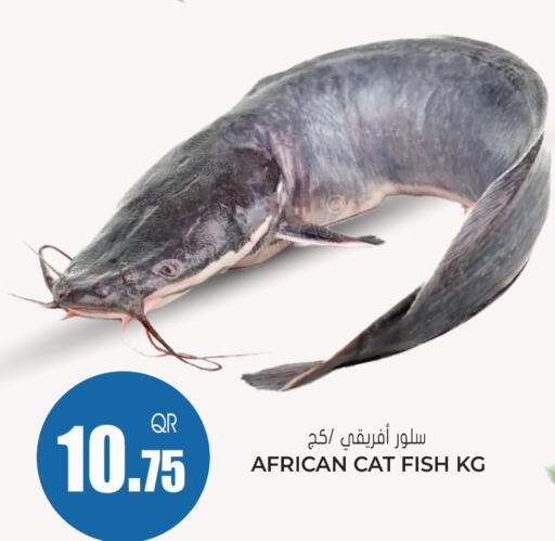 available at جراند هايبرماركت in قطر - الدوحة