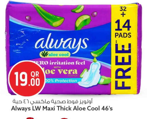 available at سفاري هايبر ماركت in قطر - الشحانية