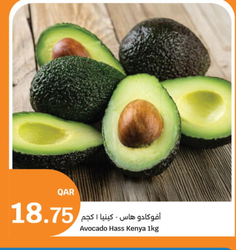 Avocado from Kenya available at سيتي هايبرماركت in قطر - الشمال