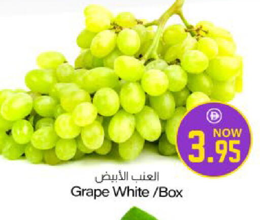 available at Meem Sajidha in UAE - Sharjah / Ajman
