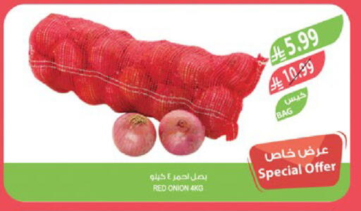 Onion available at Farm  in KSA, Saudi Arabia, Saudi - Jeddah