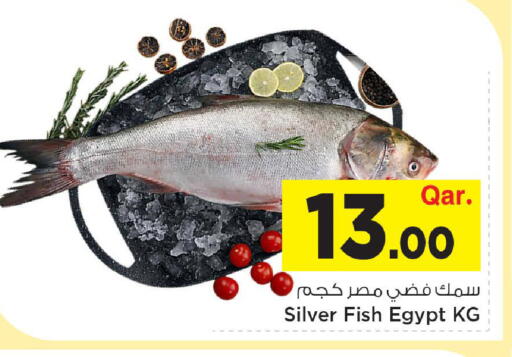 available at مارك & سيف in قطر - الوكرة