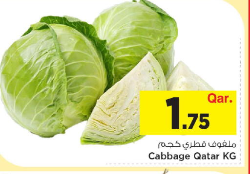 Cabbage from Qatar available at مارك & سيف in قطر - الوكرة