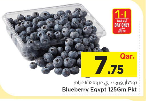 Blueberry BlueBerry from Egypt available at مارك & سيف in قطر - الوكرة