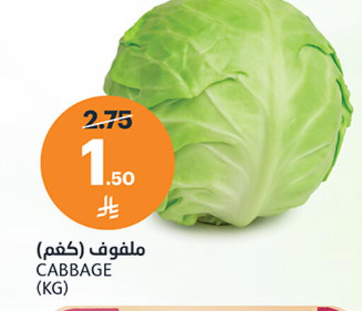 Cabbage available at مركز الجزيرة للتسوق in مملكة العربية السعودية, السعودية, سعودية - الرياض