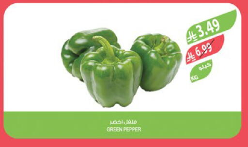 Pepper available at Farm  in KSA, Saudi Arabia, Saudi - Jeddah