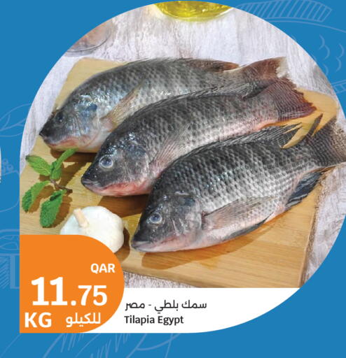 available at City Hypermarket in Qatar - Al Wakra