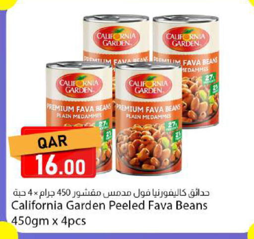 available at دانا ماركت in قطر - الضعاين