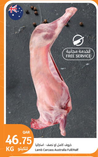 available at سيتي هايبرماركت in قطر - الضعاين