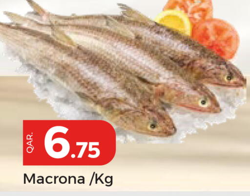 available at باريس هايبرماركت in قطر - الشحانية