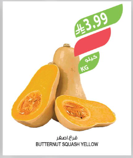 Squash available at Farm  in KSA, Saudi Arabia, Saudi - Tabuk