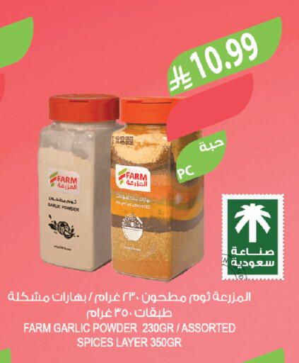 Garlic available at Farm  in KSA, Saudi Arabia, Saudi - Abha