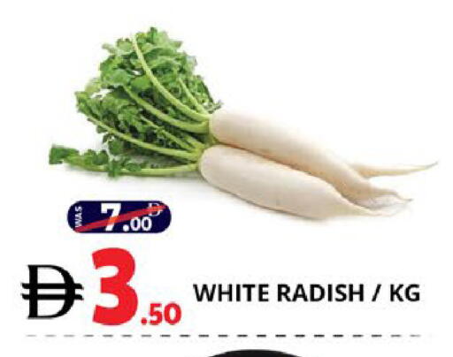 Radish available at اكسبرس المدينة هايبرماركت in الإمارات العربية المتحدة , الامارات - أبو ظبي