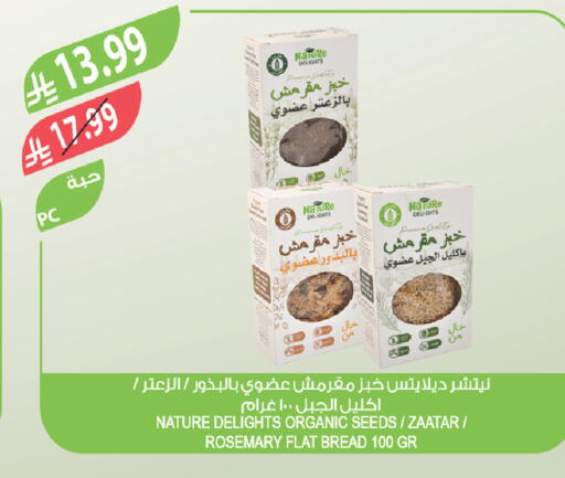 Rosemary available at Farm  in KSA, Saudi Arabia, Saudi - Al Hasa