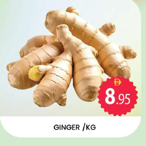 Ginger available at المدينة in الإمارات العربية المتحدة , الامارات - دبي