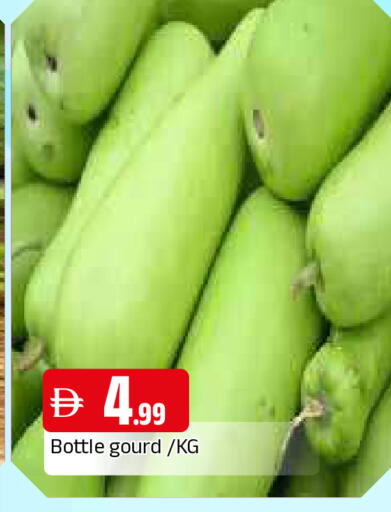 available at المدينة in الإمارات العربية المتحدة , الامارات - الشارقة / عجمان