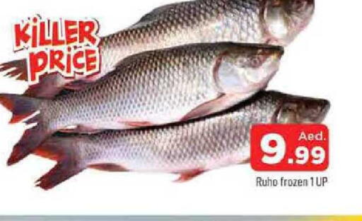 available at المدينة in الإمارات العربية المتحدة , الامارات - الشارقة / عجمان