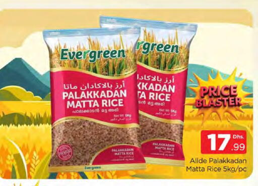 available at المدينة in الإمارات العربية المتحدة , الامارات - دبي