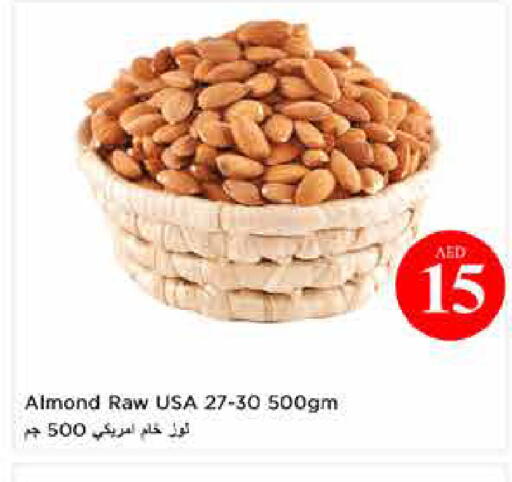 available at لاست تشانس in الإمارات العربية المتحدة , الامارات - ٱلْفُجَيْرَة‎