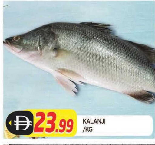 available at المدينة in الإمارات العربية المتحدة , الامارات - الشارقة / عجمان