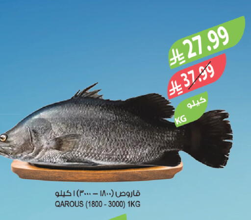 available at المزرعة in مملكة العربية السعودية, السعودية, سعودية - أبها