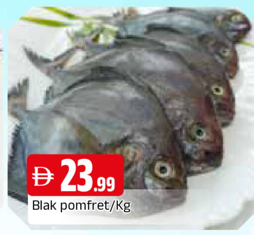 available at المدينة in الإمارات العربية المتحدة , الامارات - الشارقة / عجمان