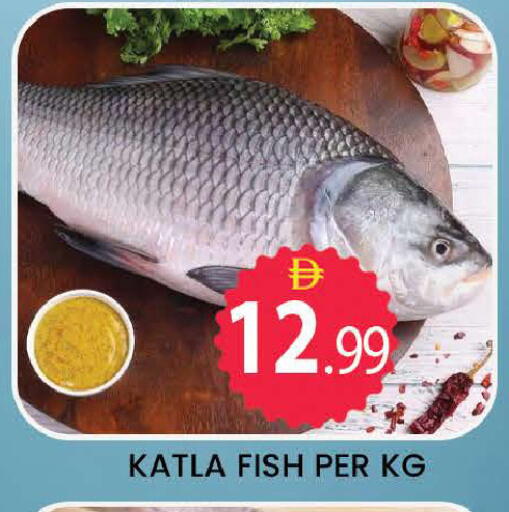 available at المدينة in الإمارات العربية المتحدة , الامارات - دبي