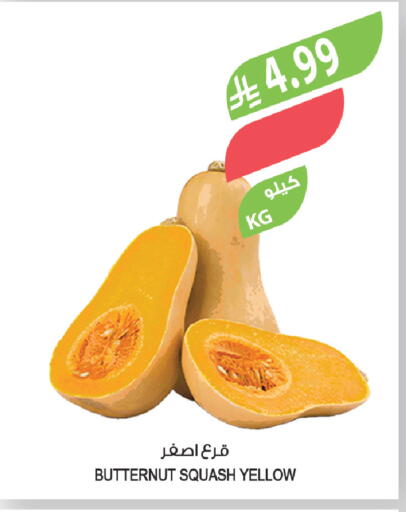 Squash available at المزرعة in مملكة العربية السعودية, السعودية, سعودية - سيهات