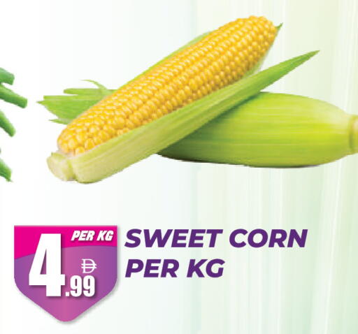 available at دريم لاند in الإمارات العربية المتحدة , الامارات - دبي