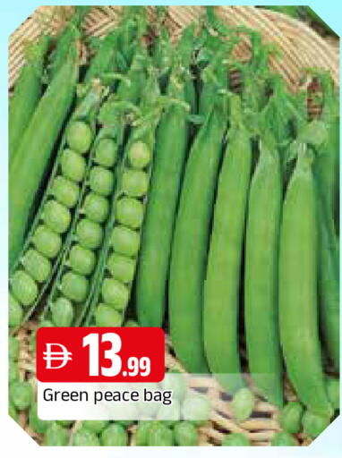 available at المدينة in الإمارات العربية المتحدة , الامارات - الشارقة / عجمان