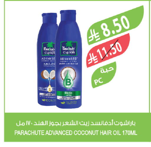 Coconut available at المزرعة in مملكة العربية السعودية, السعودية, سعودية - الأحساء‎