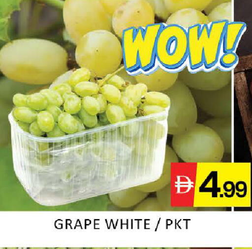 Mango available at مانجو هايبرماركت in الإمارات العربية المتحدة , الامارات - دبي