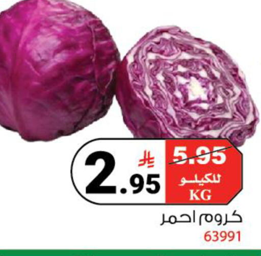 available at House Care in KSA, Saudi Arabia, Saudi - Mecca