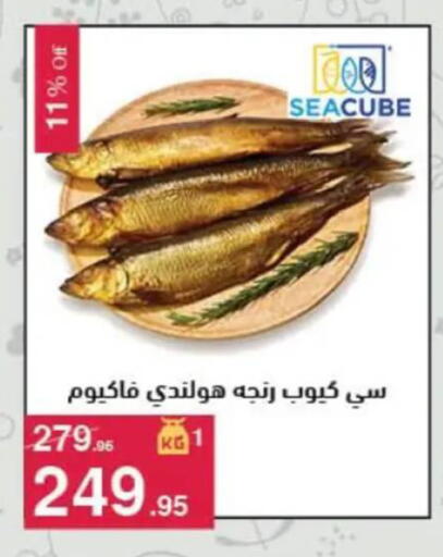 available at محمود الفار in Egypt - القاهرة