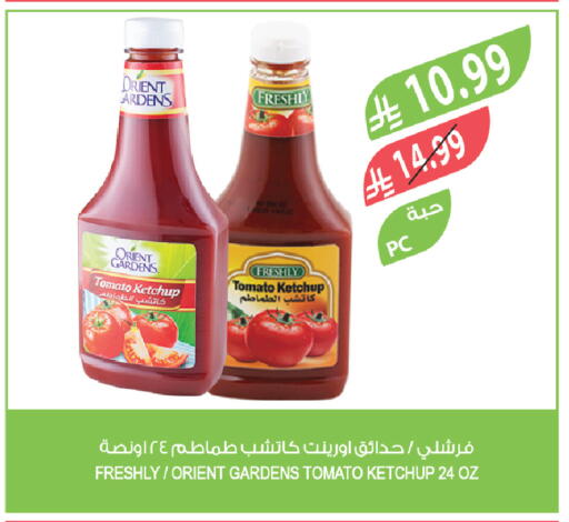 Tomato available at Farm  in KSA, Saudi Arabia, Saudi - Saihat