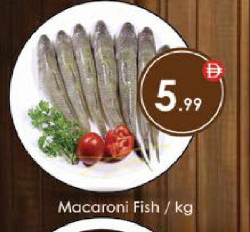 available at ايكو مول & ايكو هايبرماركت in الإمارات العربية المتحدة , الامارات - ٱلْعَيْن‎