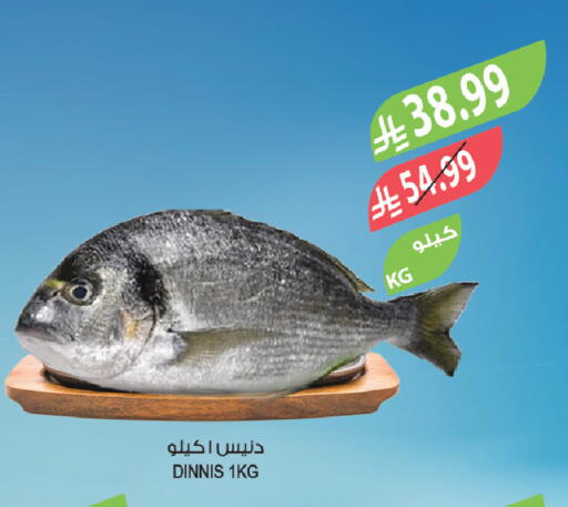 available at المزرعة in مملكة العربية السعودية, السعودية, سعودية - أبها