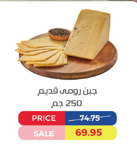 available at Exception Market in Egypt - Cairo