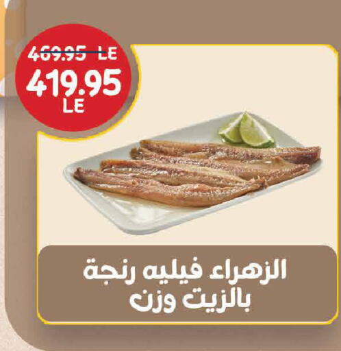 available at اكسبشن ماركت in Egypt - القاهرة