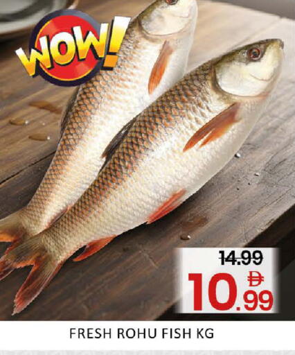 Mango available at مانجو هايبرماركت in الإمارات العربية المتحدة , الامارات - دبي