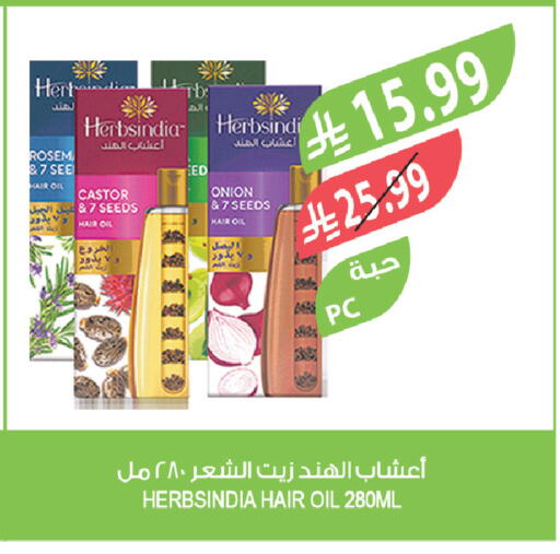 Onion available at Farm  in KSA, Saudi Arabia, Saudi - Dammam