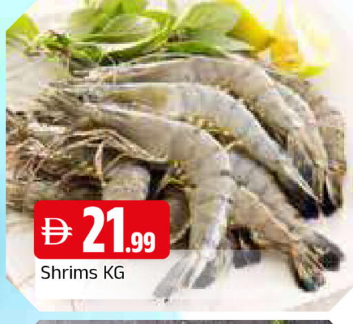 available at المدينة in الإمارات العربية المتحدة , الامارات - الشارقة / عجمان