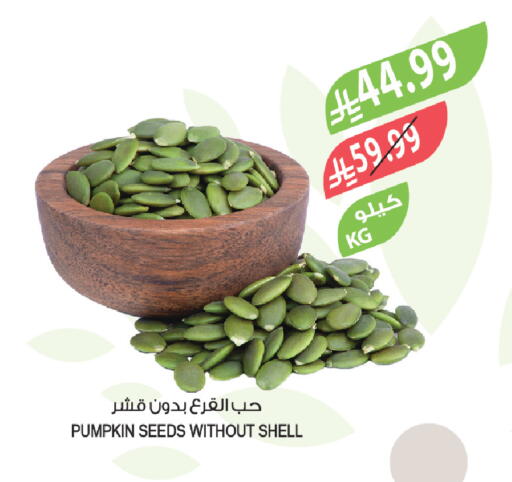 Pumpkin available at Farm  in KSA, Saudi Arabia, Saudi - Najran