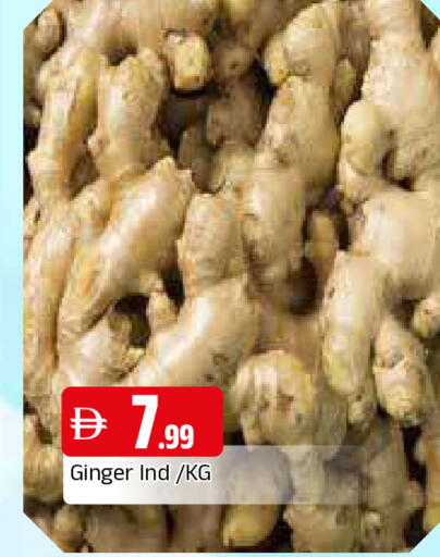 Ginger available at المدينة in الإمارات العربية المتحدة , الامارات - الشارقة / عجمان